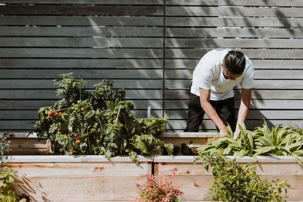 Cultiver son potager à l'ombre