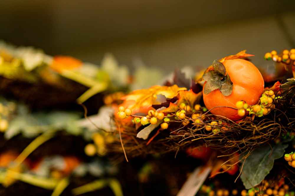 Les semis et plantation pour Novembre