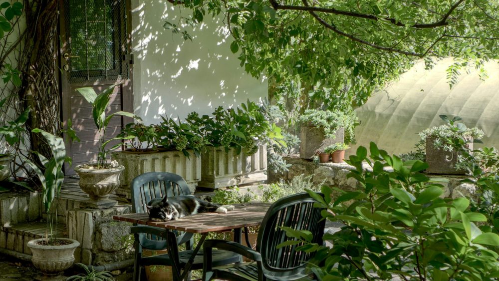 Les avantages de l'aménagement d'un petit jardin en ville